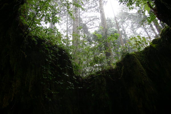 【花巻空港発】 《登山》世界遺産屋久島・感動の縄文杉登山3日間*3